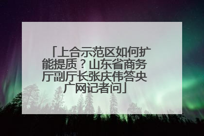 上合示范区如何扩能提质？山东省商务厅副厅长张庆伟答央广网记者问