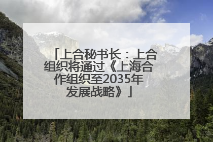 上合秘书长：上合组织将通过《上海合作组织至2035年发展战略》