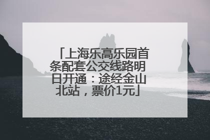 上海乐高乐园首条配套公交线路明日开通：途经金山北站，票价1元