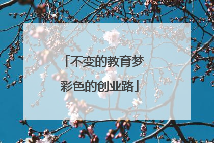 不变的教育梦 彩色的创业路