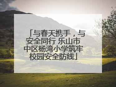 与春天携手，与安全同行 乐山市中区杨湾小学筑牢校园安全防线