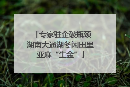专家驻企破瓶颈 湖南大通湖冬闲田里亚麻“生金”