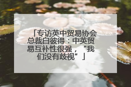 专访英中贸易协会总裁白彼得：中英贸易互补性很强，“我们没有歧视”
