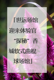 世运场馆迎来体验官“探秘”香城软式曲棍球场馆