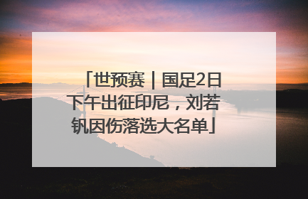 世预赛｜国足2日下午出征印尼，刘若钒因伤落选大名单