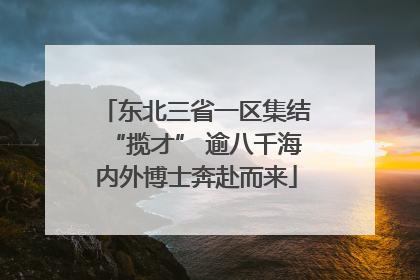 东北三省一区集结“揽才” 逾八千海内外博士奔赴而来