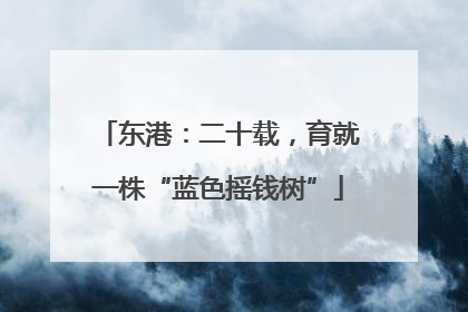 东港：二十载，育就一株“蓝色摇钱树”