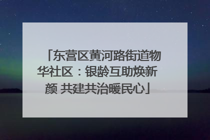 东营区黄河路街道物华社区：银龄互助焕新颜 共建共治暖民心