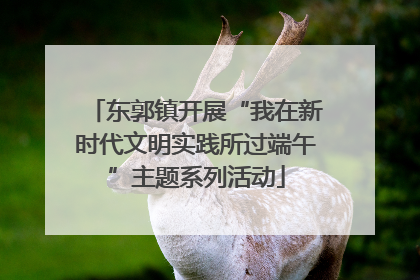 东郭镇开展“我在新时代文明实践所过端午”主题系列活动