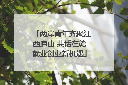 两岸青年齐聚江西庐山 共话在赣就业创业新机遇