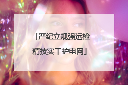 严纪立规强运检 精技实干护电网