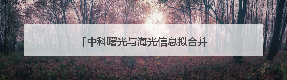 中科曙光与海光信息拟合并：资本与产业的双向奔赴