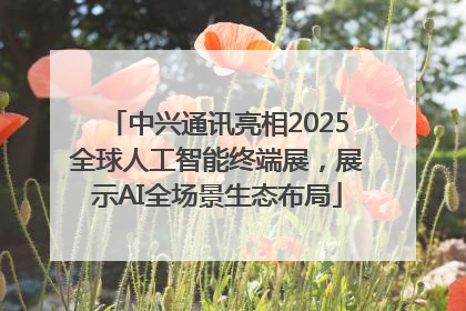 中兴通讯亮相2025全球人工智能终端展，展示AI全场景生态布局