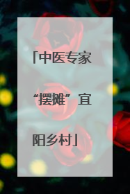 中医专家“摆摊”宜阳乡村