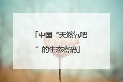 中国“天然氧吧”的生态密码