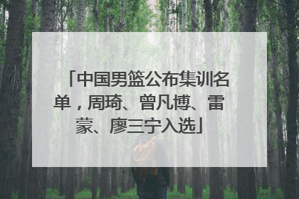 中国男篮公布集训名单，周琦、曾凡博、雷蒙、廖三宁入选