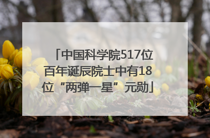 中国科学院517位百年诞辰院士中有18位“两弹一星”元勋