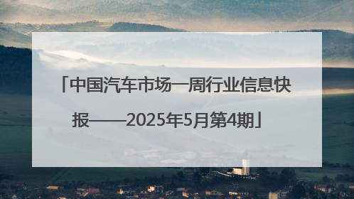 中国汽车市场一周行业信息快报——2025年5月第4期