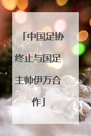 中国足协终止与国足主帅伊万合作