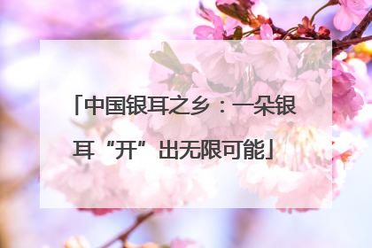 中国银耳之乡：一朵银耳“开”出无限可能