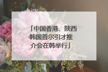 中国香港、陕西·韩国首尔引才推介会在韩举行