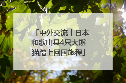 中外交流丨日本和歌山县4只大熊猫踏上回国旅程