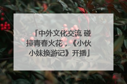 中外文化交流 碰撞青春火花，《小伙小妹换游记》开播