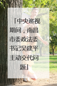 中央巡视期间，南昌市委政法委书记吴建平主动交代问题