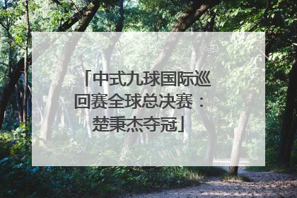 中式九球国际巡回赛全球总决赛：楚秉杰夺冠
