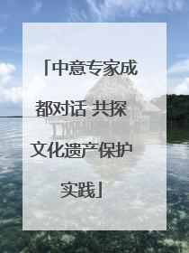 中意专家成都对话 共探文化遗产保护实践