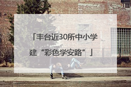 丰台近30所中小学建“彩色学安路”