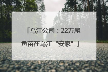 乌江公司：22万尾鱼苗在乌江“安家”