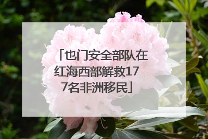 也门安全部队在红海西部解救177名非洲移民