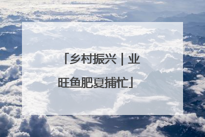 乡村振兴｜业旺鱼肥夏捕忙