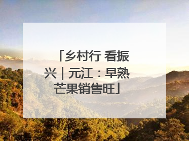 乡村行 看振兴｜元江：早熟芒果销售旺