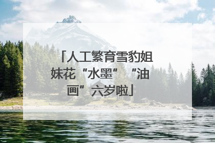 人工繁育雪豹姐妹花“水墨”“油画”六岁啦