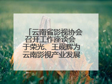 云南省影视协会召开工作座谈会 于荣光、王砚辉为云南影视产业发展出谋划策