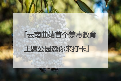 云南曲靖首个禁毒教育主题公园邀你来打卡