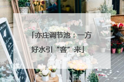亦庄调节池：一方好水引“客”来