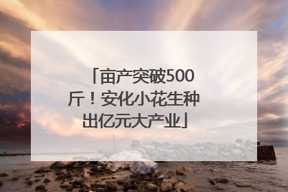 亩产突破500斤！安化小花生种出亿元大产业