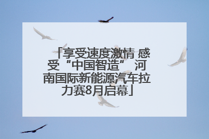 享受速度激情 感受“中国智造” 河南国际新能源汽车拉力赛8月启幕