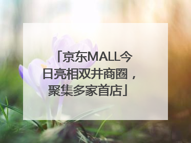 京东MALL今日亮相双井商圈，聚集多家首店