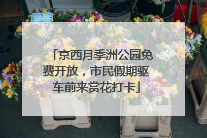 京西月季洲公园免费开放，市民假期驱车前来赏花打卡