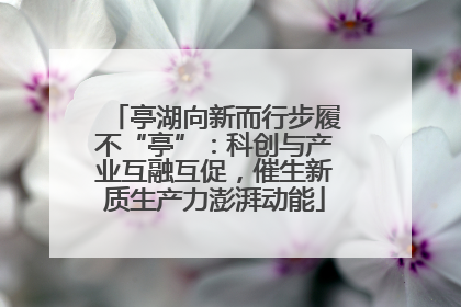 亭湖向新而行步履不“亭”：科创与产业互融互促，催生新质生产力澎湃动能