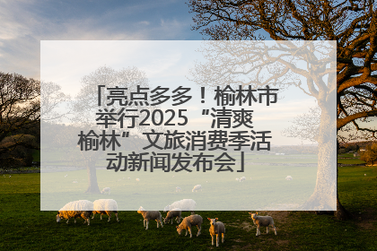 亮点多多！榆林市举行2025“清爽榆林”文旅消费季活动新闻发布会