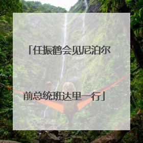 任振鹤会见尼泊尔前总统班达里一行