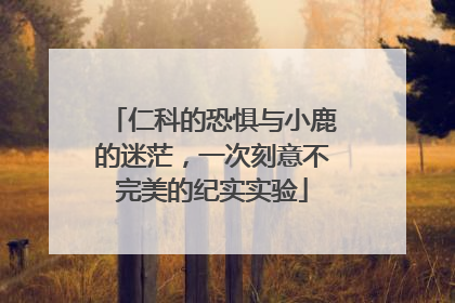 仁科的恐惧与小鹿的迷茫，一次刻意不完美的纪实实验