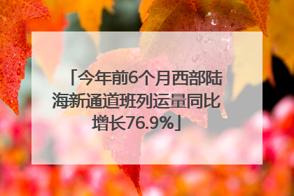 今年前6个月西部陆海新通道班列运量同比增长76.9%