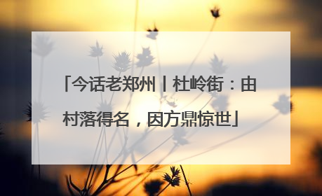 今话老郑州丨杜岭街：由村落得名，因方鼎惊世