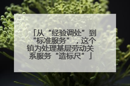 从“经验调处”到“标准服务”，这个镇为处理基层劳动关系服务“造标尺”